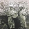 இருளர்களும்  இயற்கையும்