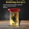 தமிழகத்தில் மனிதர்கள் மற்றும் விலங்கினங்களுடனான தொடர்பு அய்ரோப்பியர்களின் விலங்கு அறிவியல் ஆராய்ச்சியும், மருத்துவ -விலங்கியல் வளர்ச்சியும் (1639-1857)