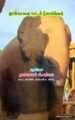 தூங்கானை மாடக் கோயில்கள் | முனைவர் சி. சத்யா