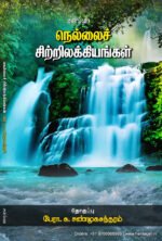 நெல்லை சிற்றிலக்கியங்கள் - சு.சண்முகசுந்தரம்