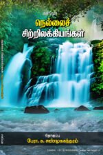 நெல்லை சிற்றிலக்கியங்கள் - சு.சண்முகசுந்தரம்