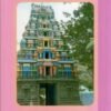 திருப்பிடவூர் திரணி