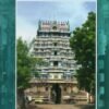 வேளச்சேரி திருக்கோயில்கள்